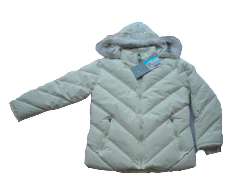 ͼƬƣPG-8011 LADIES' PADDED  JACKET
537