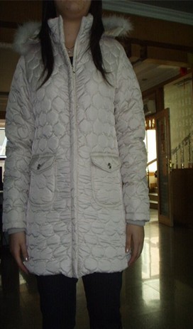 ͼƬƣPG-HC8688A/B/C/D Ladys Padded Jackets
944