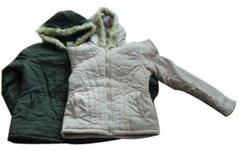 ͼƬƣPG-IJF-352 Lady's Padded Jackets
342
